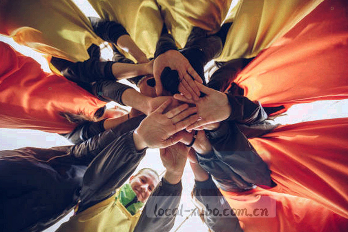 同一公告界面中展示位、置顶位与首页焦点位三种排布效果对比示意图